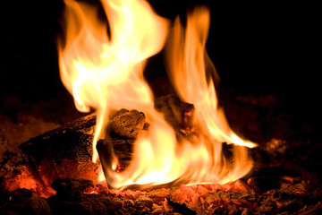 Fototapeta premium fire flame