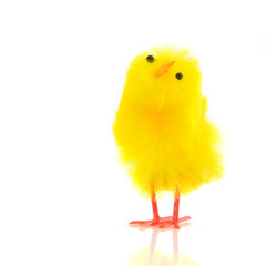 easter chick