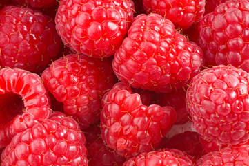 Fresh bright berries