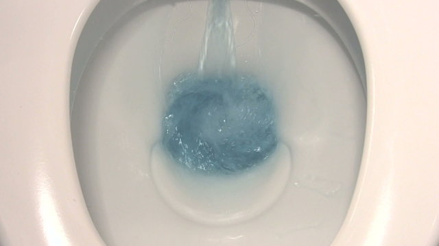 Flushing toilet with toilet paper