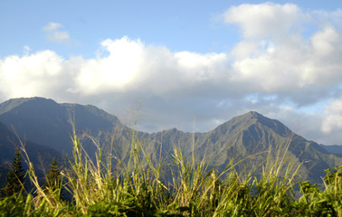 Grass frames Kauai Mountains