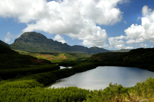 Fishponds called Menehune