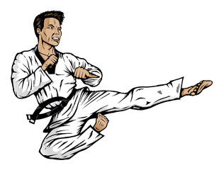 Jumping side kick © Danomyte