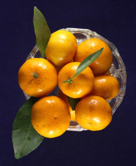 Orange Fruit