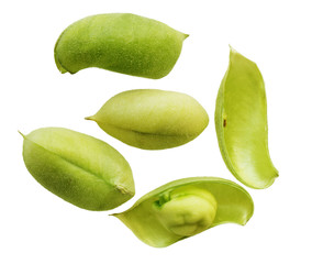 Beans