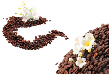 Coffee Seed with Sugar Flower