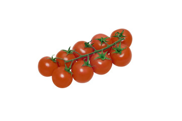 fresh & young tomatos