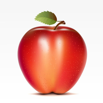 A red apple on a white background
