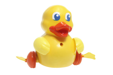 Toy Duckling