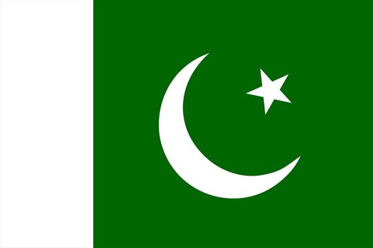 Pakistan national flag. Illustration on white background