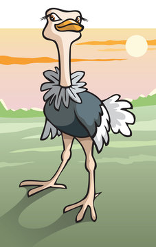Ostrich in savanna, flightless bird, cartoon vector illustration