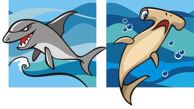 Marine life, gray shark and hammerhead shark, vector