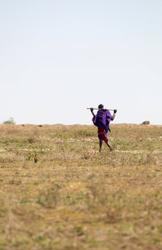 Masai - native people in african savannah