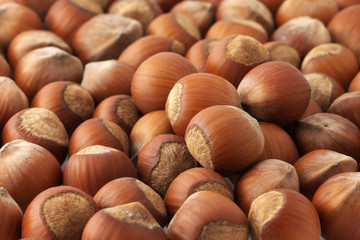 Hazelnuts