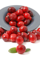 Cranberries