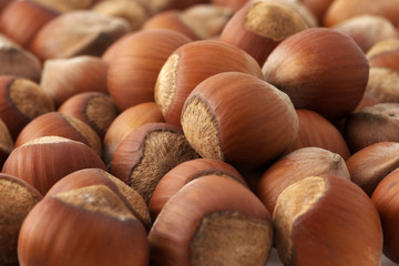 Hazelnuts