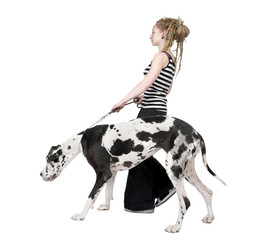 young girl walking her dog (Great dane 4 years) harlequin Great - obrazy, fototapety, plakaty