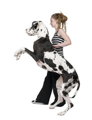 young girl walking her dog (Great dane 4 years) harlequin Great