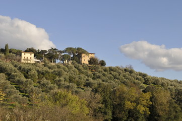 Urlaub in der Toscana zwischen schöne Landschaft und herrlichen Feldern mit Blüten und vielen mehr