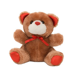 Teddy Bear in White Background