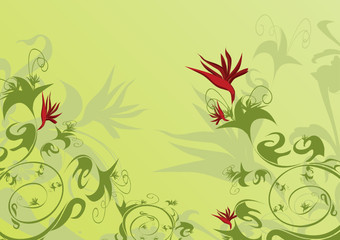 decorative background
