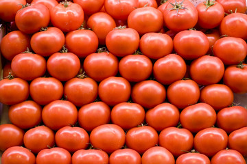 Tomato
