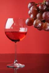 Red wine and branch of grapes
