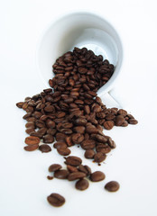 KAFFEE Cafe TASSE Bohne