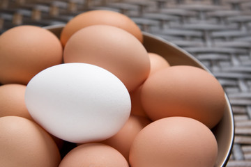 A single white egg in a bowl full of fresh brown eggs
