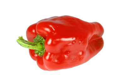 capsicum red