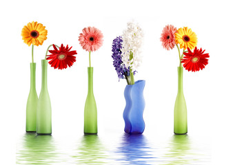 Colorful spring flowers in colorful vases