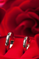 Golden wedding rings and red rose