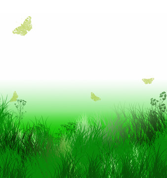 Herbes vertes et papillons sur fond dégradé blanc et vert