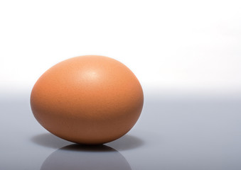 Single egg isolated