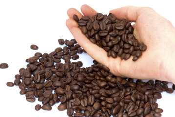 Kaffeebohnen in der Hand