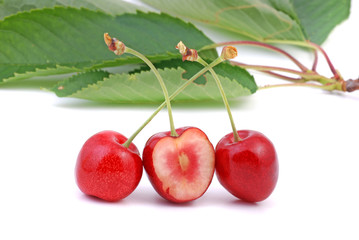 Kirsche - cherry