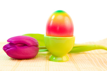 Obraz na płótnie Canvas colorful easter egg and purple tulip isolated on white