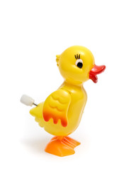 canard