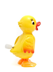 canard © RIVOT Samuel