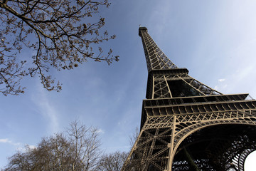 Tour Eiffel -  Eiffel Tower