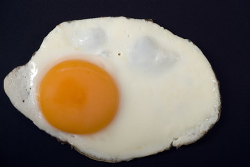 Egg