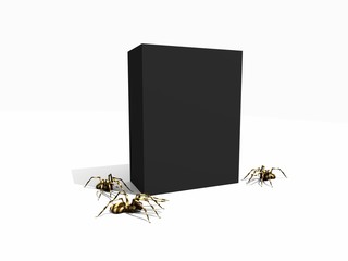 box and spiders
