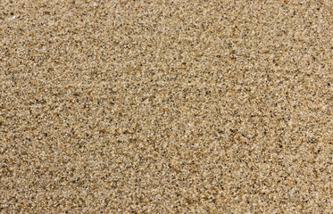 Texture of sea sand