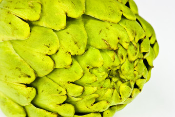 Fototapeta premium artichoke
