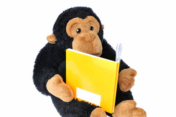 Close-up of a  stuffed monkey reading a book