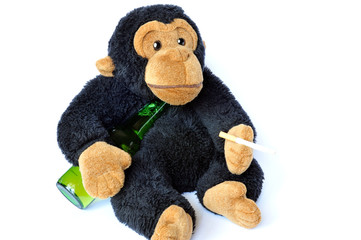 Funny scene: fluffy monkey with beer and cigarette