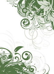 Floral abstraction for design.