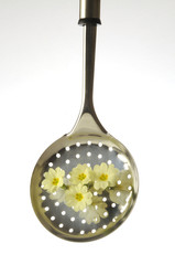 Cucina ai fiori commestibili