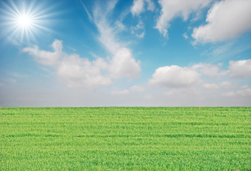 green field and suny sky