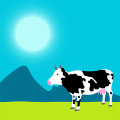 cow on the meadow